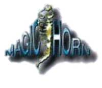 MAGIC-HORN