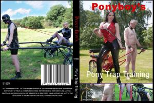 PONY TRAP TRAINING (PONYBOYS)