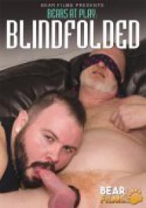 Bears at Play: Blindfolded