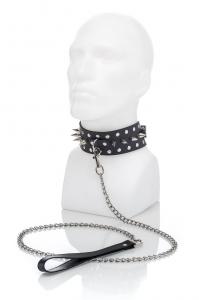 Spiked Collar With Leash