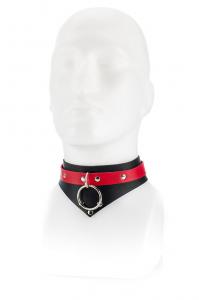 Red Collar And Leash