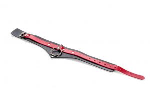 Red Collar And Leash