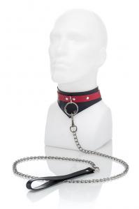 Red Collar And Leash