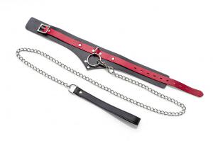 Red Collar And Leash