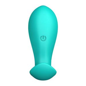 Remote Controlled Wearable Vibrator