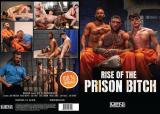 Rise Of The Prison Bitch