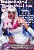 World of the Dominated Transvestites 11