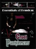 Essentials of Femdom