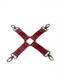 HOGTIE HOGTIE CLIP WITH 4 CARABINERS BRI LLIANT