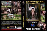 THE OWK PRISON INSPECTION