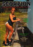 Scorpion # 17