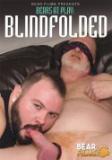 Bears at Play: Blindfolded