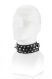 Spiked Collar With Leash